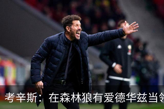 考辛斯：在森林狼有爱德华兹当领袖 三球能得到成长并且更成熟